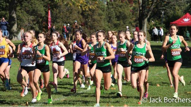MileSplit IL Team Rankings FINAL EDITION