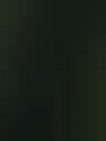 Gabriel Nyenator Jr.