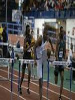 Stephon Knox