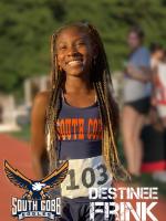 Destinee Frink - Stats