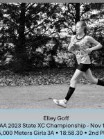 Elley Goff