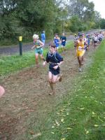 Tim Osterhoudt