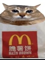 Liv Irena Grzybowicz