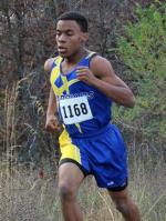 Ian Bednarek