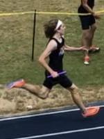 Will Elkins