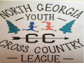 North Georgia Youth  League Championship