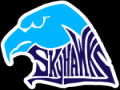 Skyhawk  Invitational