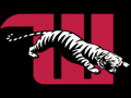 Wittenberg Tiger Opener (College Only)