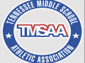 TMSAA  Class A Section 4 Meet