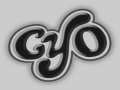 CYO 3-8 Qualifier