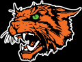 MS HPL Divisional