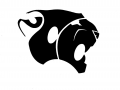 Cougar Chase 1 @ Colleton County