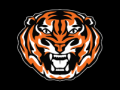 Texas High Tiger  Invitational