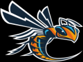 Cedarville Friendship  Invitational - MS Entry Only