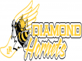 Diamond Hornets Invitational