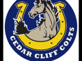 Cedar Cliff Relays John Kambic Memorial