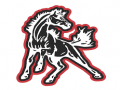 McDonald County Mustang Junior High Stampede