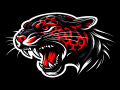 Jaguar Invitational