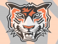 Amherst Tigers Safari Invitational