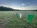 Hall County XC Championships