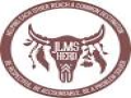 East Pasco #6