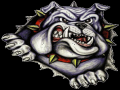 Carl Junction Bulldog Invitational