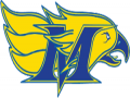 Olson Middle School Meet
