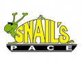A Snails Pace X Adidas Sunset
