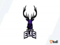 Elkins Invitational
