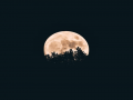 By the Moon's Light