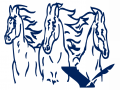 Courser Lightning Invitational