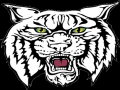Wildcat Invitational @ Freedom Park