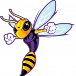 Hermitage High School