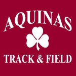 Aquinas Institute team Logo