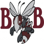 Byron-Bergen team Logo