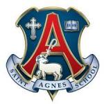 Saint Agnes High School