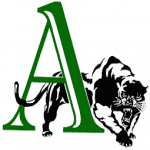 Amphitheater High School