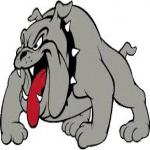 Bosworth High School