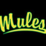 Leilehua High School