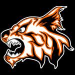 Branson High School