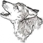 Prospect Mountain High School