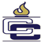 Current League Logo