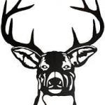 Blue Mountain USD #21