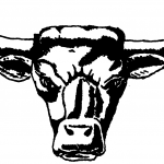 Newcastle  High School