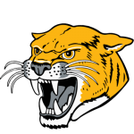 Mason City (Illini Central)