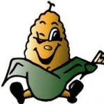 Mitchell High School