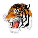 Lynn Vocational Technical School