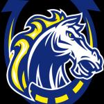 Olmsted North Academy