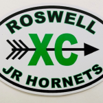 Roswell Jr Hornets