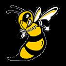 HS Telecommunication Arts